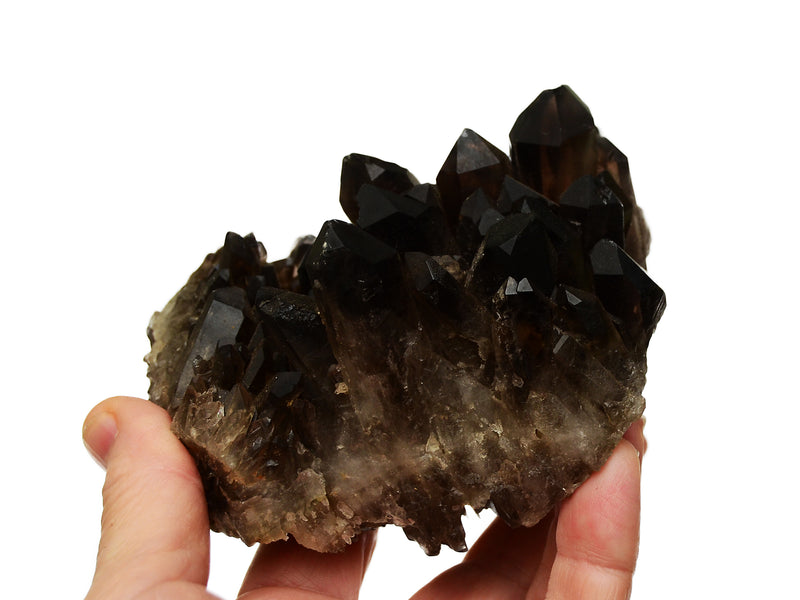 Large smoky quartz crystal cluster on hand with white background