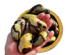 Four chuncky yellow septarian tumbled stones on hand with background with some crystals inside a wood bowl