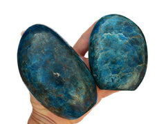 Two extra large blue apatite free form stones on hand with white background