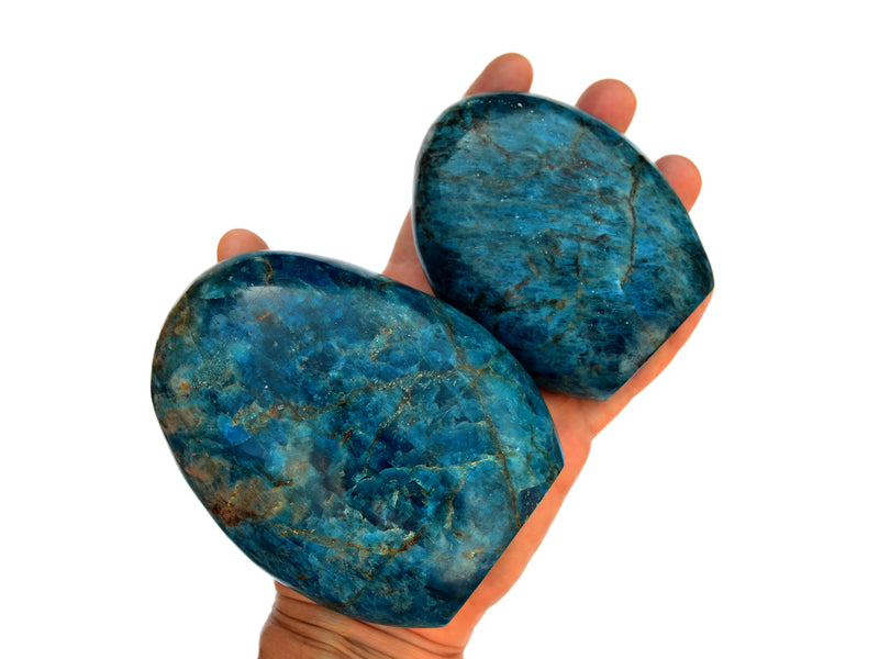 Two large blue apatite free form minerals 100mm-130mm on hand with white background