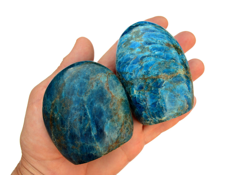 Two blue apatite free form crystals 80mm-85mm on hand wiht white background
