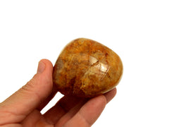 One golden healer quartz tumbled 60mm on hand with white background