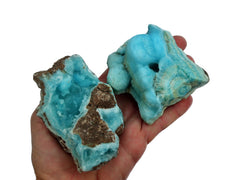 Two raw blue aragonite crystals on hand with white background