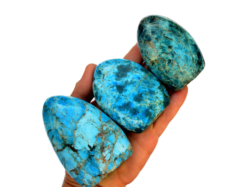 Three blue apatite 65mm-85mm on hand with white background