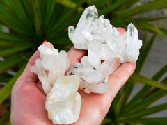 Five small raw crystal cluster on hand with background with green plants