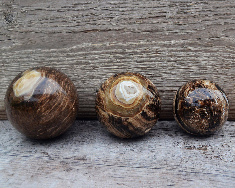 Three chocolate calcite spheres 60mm-85mm on wood background