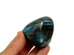 One blue labradorite tumbled stone 50mm on hand with white background