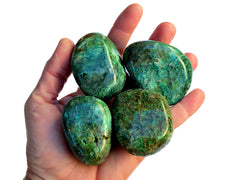 Four large green chrysocolla tumbled crystals on hand with white background