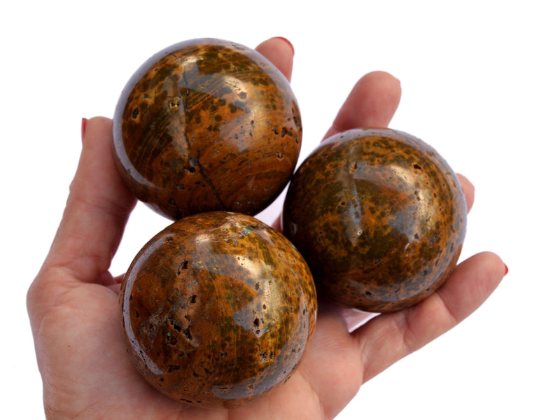 Three brown ocean jasper sphere crystal stones 55mm on hand with white background