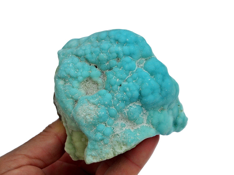 One blue aragonite raw on hand with white background