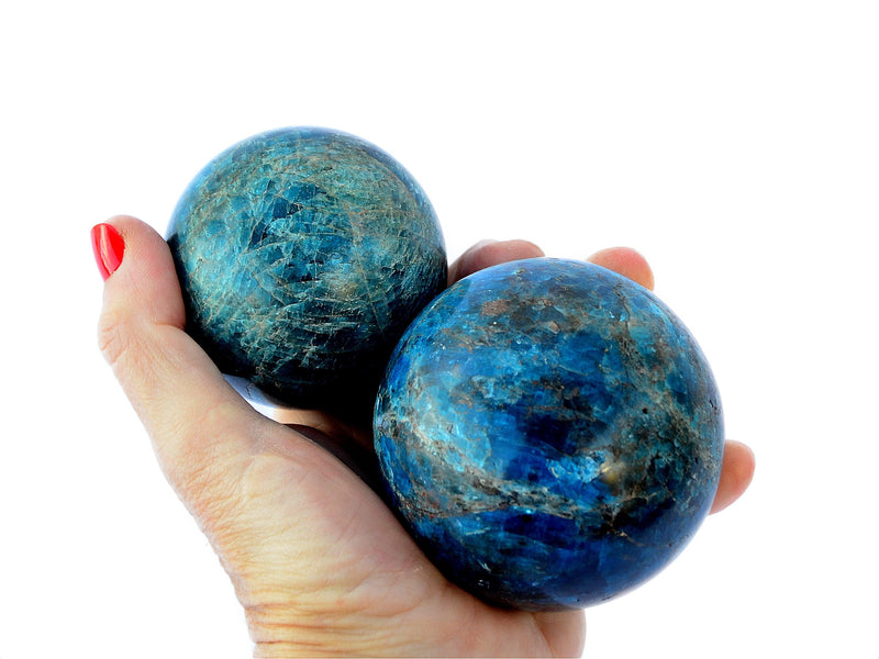 Two blue apatite crystal spheres 70mm-85mm on hand with white background