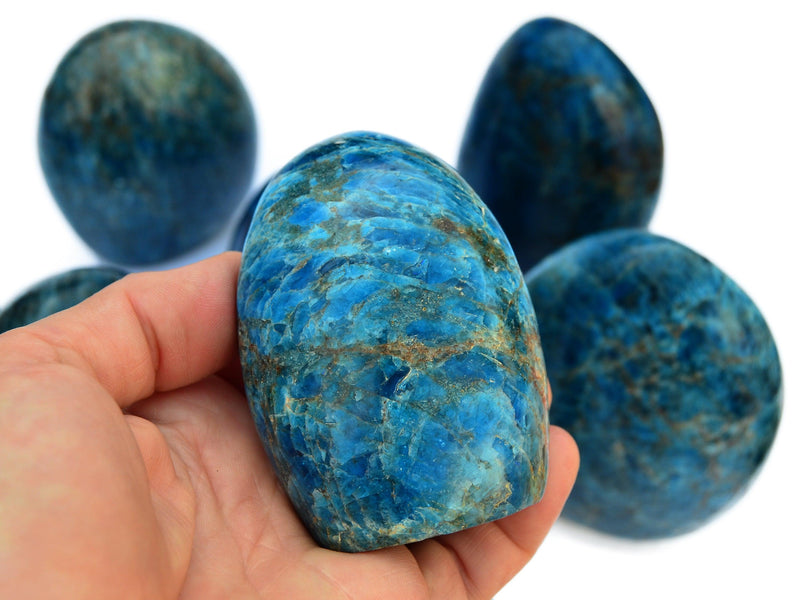 Blue Apatite Free Form (2-3 Pcs) - 1 Kg Wholesale Lot - Kaia & Crystals