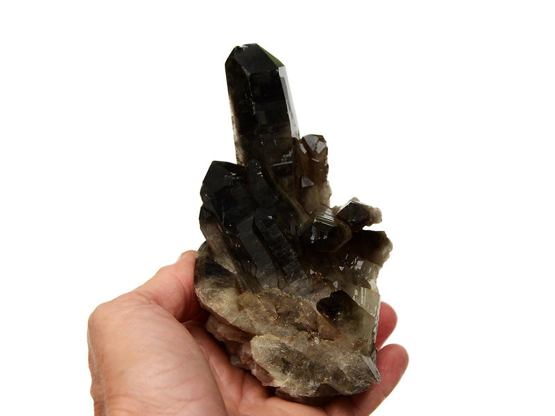 Smoky quartz crystal cluster 100mm on hand with white background