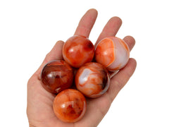 Fiver carnelian crystal balls 35mm-40mm on hand with white background