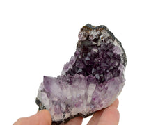 One purple amethyst druzy 95mm on hand with white background