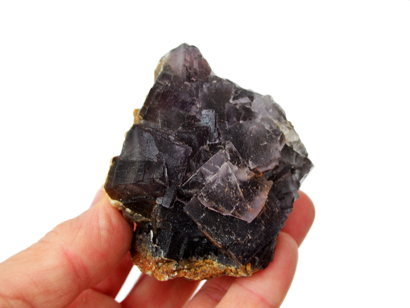 One big purple raw cubic fluorite on hand with white background