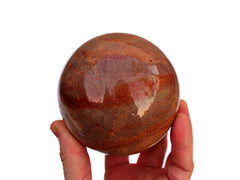 Big polychrome jasper crystal sphere 80mm on hand with white background