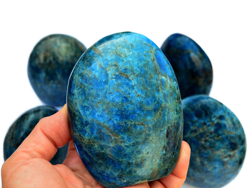 Blue Apatite Free Form (2-3 Pcs) - 1 Kg Wholesale Lot - Kaia & Crystals