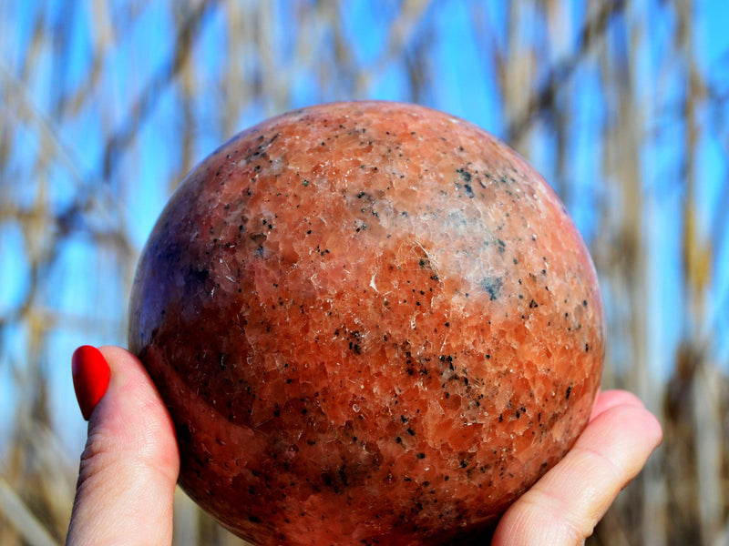 One big orange calcite sphere mineral 95mm on hand with river reeds background 