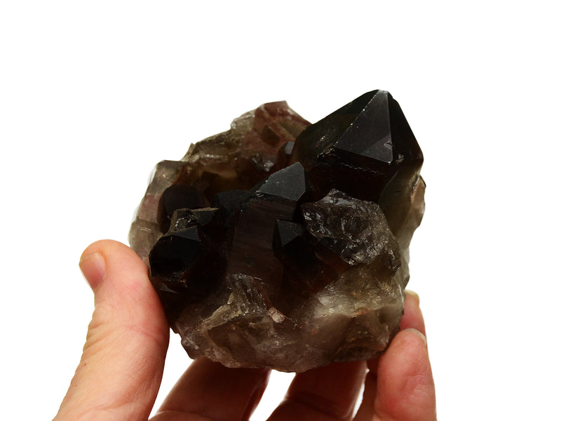 Natural smoky quartz crystal cluster  60mm on hand with white background