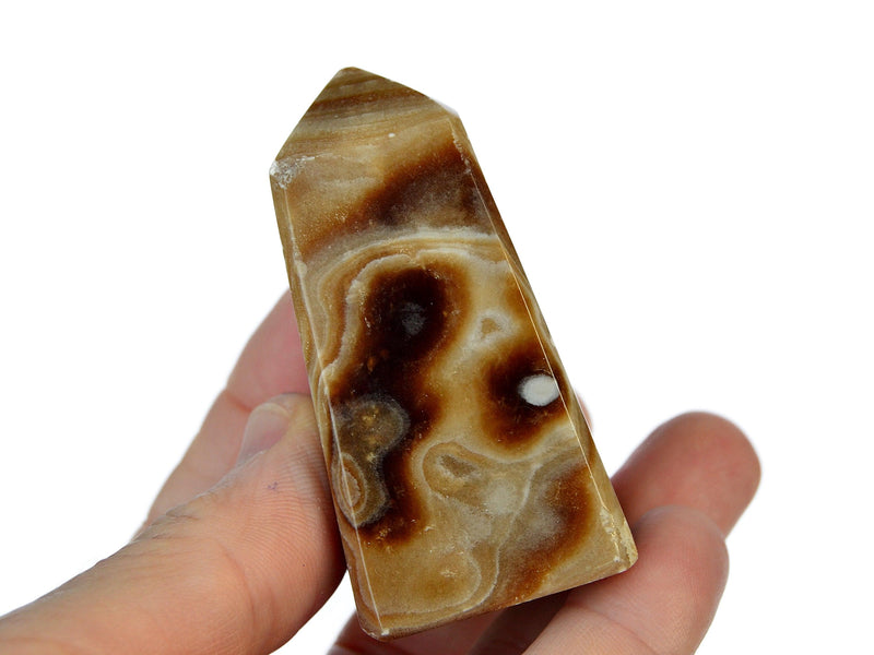 One orbicular caramel brown calcite on hand with white background
