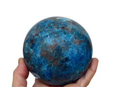 Large blue apatite sphere 90mm on hand with white background