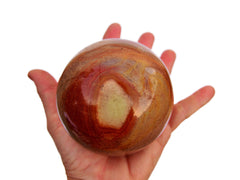 Big polychrome jasper sphere crystal 85mm on hand with white background