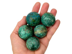 Five chrysocolla sphere crystals 25mm-40mm on hand with white background