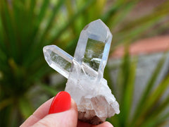 One mini raw crystal cluster on hand with background with green plants 