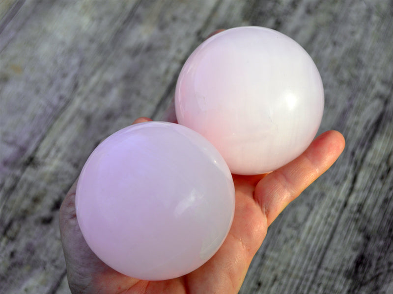 Two large pink mangano calcite spheres 70mm on hand with background with green plants