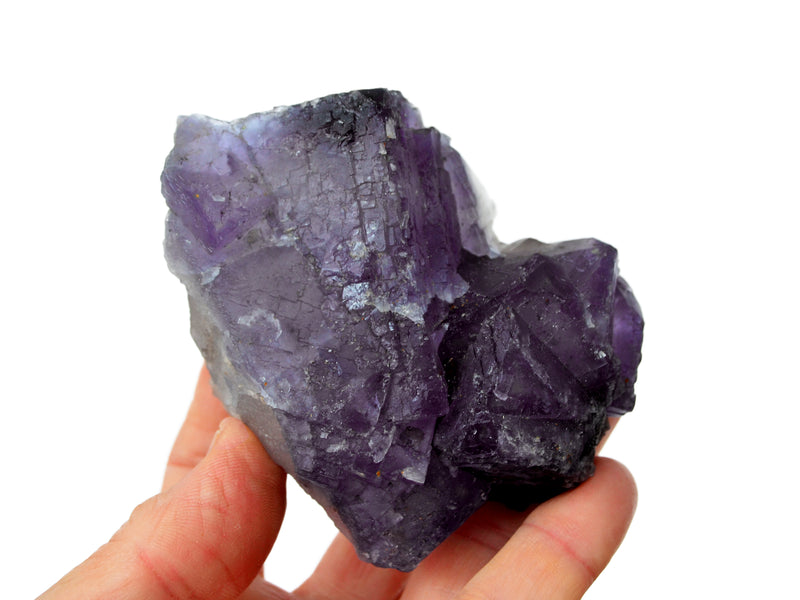 One big purple fluorite cluster on hand with white background