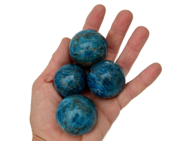 Four blue apatite sphere 35mm-45mm on hand with white background