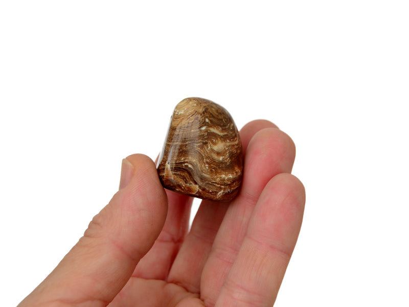 One chocolate calcite tumbled stone 20mm on hand with white background