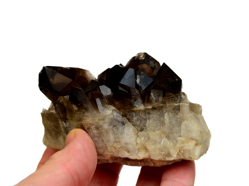 Smoky quartz druzy 70mm on hand with white background