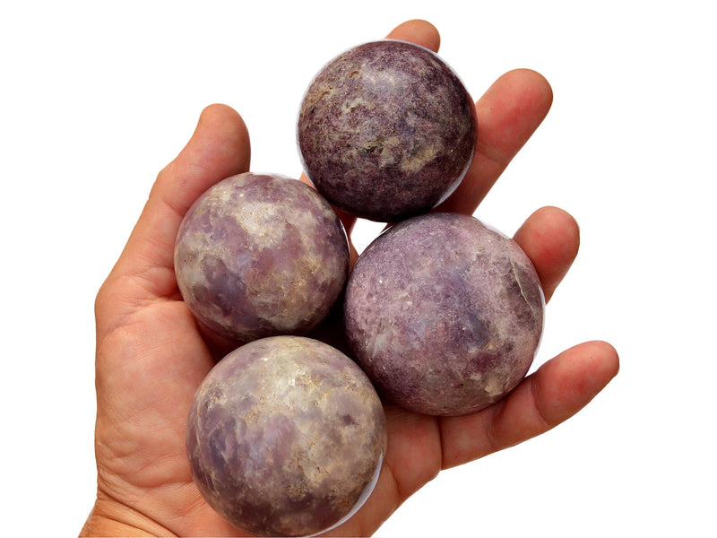 Four purple lepidolite sphere crystals 45mm-50mm on hand with white background