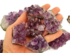 Five small brazilian druzy amethyst on hand with background with some crystals on white