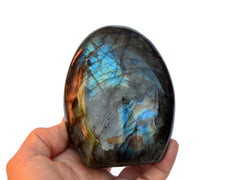 Labradorite Free Form Crystal (50g - 1000g) - Kaia & Crystals