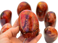 Natural Carnelian Free Form (3-5 Pcs) Lot 1 Kg - Kaia & Crystals