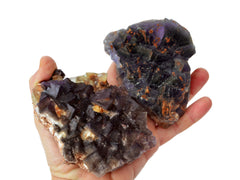 Two large purple fluorite clusters on hand with white background