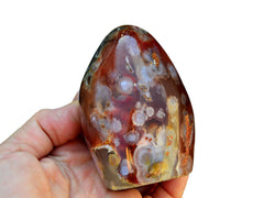 On large red sakura agate free form on hand with white background