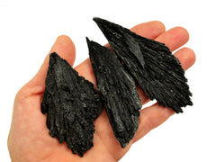 Three raw black kyanite 90mm-100m on hand with background with some crystals on white