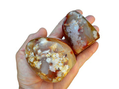 Two orange flower agate free form minerals on hand with white background