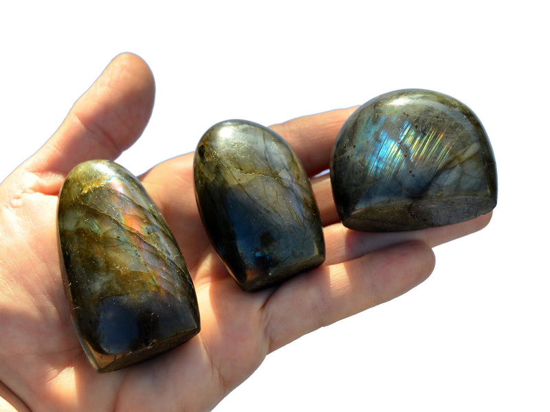 Wholesale Lot of Labradorite Free Form (4-6 Pcs) 1 Kg - Kaia & Crystals