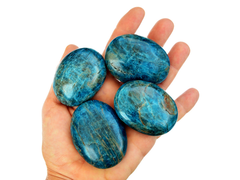 Four blue apatite palmstones 55mm-60mm on hand with white background