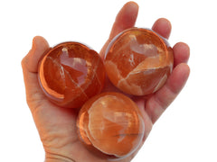 Three natural honey calcite crystal spheres 55mm on hand with white background