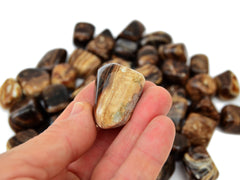 One chocolate calcite tumbled stone 20mm on hand with background with several stones on white