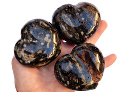 Three large ocean jasper crystal hearts 70mm on hand with white background