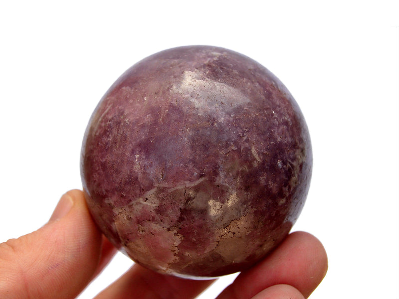 One purple lepidolite crystal sphere 50mm on hand with white background