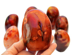 Natural Carnelian Free Form (3-5 Pcs) Lot 1 Kg - Kaia & Crystals