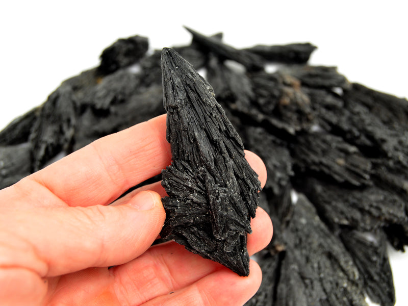 One raw black kyanite stone 80mm on hand with background with some crystals on white
